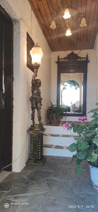 Odysseas Hotel Samos Exterior photo