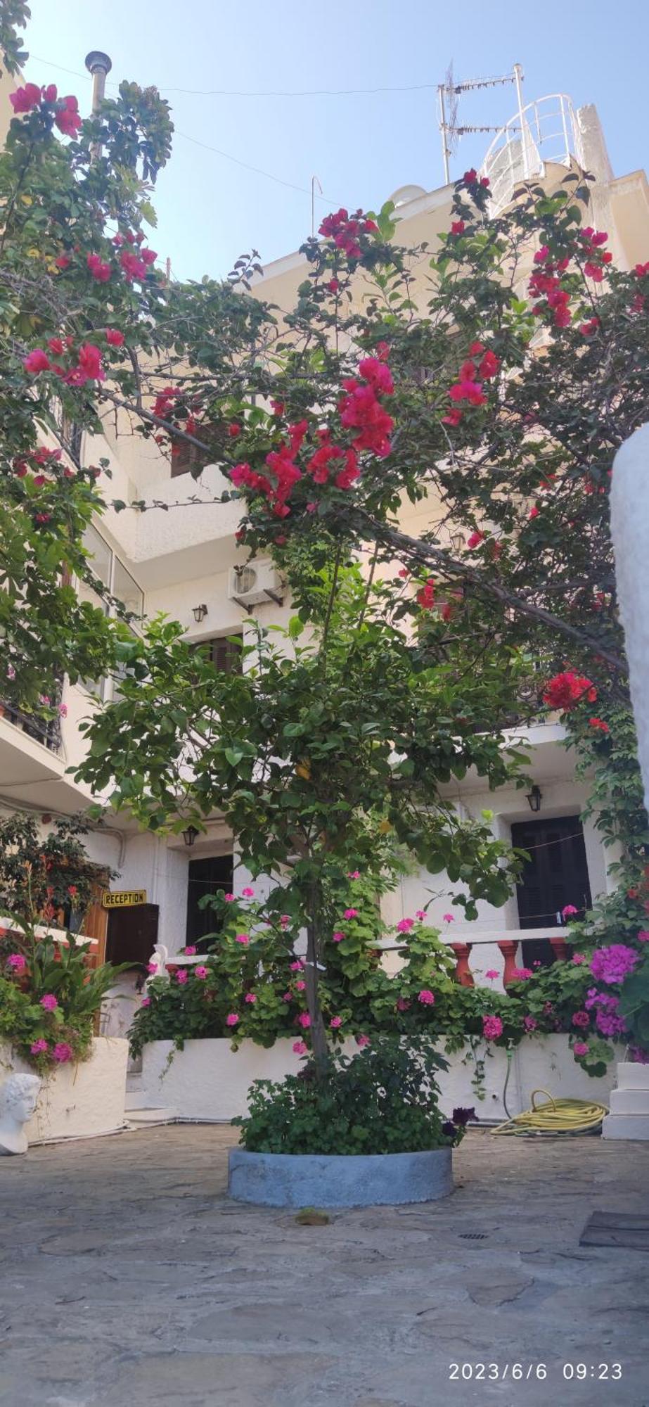 Odysseas Hotel Samos Exterior photo